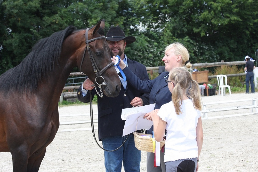 Expat Morgans leading sport stud farm in Europe