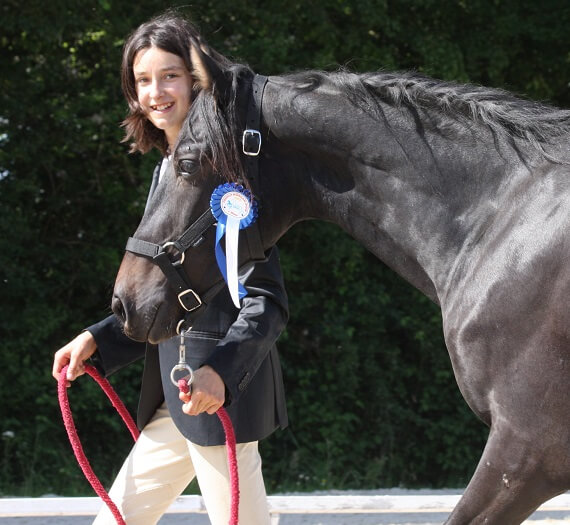 Expat Morgans leading sport stud farm in Europe